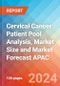 Cervical Cancer Patient Pool Analysis, Market Size and Market Forecast APAC - 2034 - Product Image