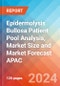 Epidermolysis Bullosa Patient Pool Analysis, Market Size and Market Forecast APAC - 2034 - Product Thumbnail Image