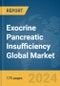 Exocrine Pancreatic Insufficiency Global Market Report 2024 - Product Thumbnail Image