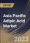 Asia Pacific Adipic Acid Market Size, Share & Industry Trends Analysis Report By Application (Nylon 6, 6 Fiber, Nylon 6, 6 Resin, Polyurethane, Adipate Esters, and Others), By End-Use, By Country and Growth Forecast, 2023 - 2030 - Product Image