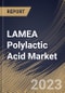 LAMEA Polylactic Acid Market Size, Share & Industry Trends Analysis Report By End-use (Packaging, Agriculture, Electronics, Textile, Automotive & Transport, and Others), By Country and Growth Forecast, 2023 - 2030 - Product Thumbnail Image