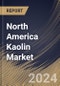 North America Kaolin Market Size, Share & Trends Analysis Report By Application, By Process (Water-washed, Airfloat, Calcined, Delaminated, and Surface-modified & Unprocessed), By Country and Growth Forecast, 2023 - 2030 - Product Image