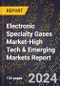 2024 Global Forecast for Electronic Specialty Gases Market (2025-2030 Outlook)-High Tech & Emerging Markets Report - Product Image