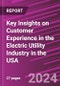 Key Insights on Customer Experience in the Electric Utility Industry in the USA - Product Image