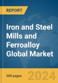 Iron and Steel Mills and Ferroalloy Global Market Report 2024- Product Image