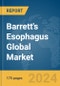 Barrett's Esophagus Global Market Report 2024 - Product Thumbnail Image