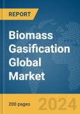 Biomass Gasification Global Market Report 2024- Product Image