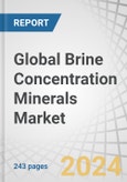 Global Brine Concentration Minerals Market by Type (Sodium derivatives, Magnesium derivatives, Calcium derivatives, Potassium dereivatives), Technology (Solar evaporation, NF-RO-MF, Osmotically assisted RO), Application, and Region - Forecast to 2029- Product Image