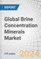 Global Brine Concentration Minerals Market by Type (Sodium derivatives, Magnesium derivatives, Calcium derivatives, Potassium dereivatives), Technology (Solar evaporation, NF-RO-MF, Osmotically assisted RO), Application, and Region - Forecast to 2029 - Product Image