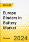 Europe Binders in Battery Market: Analysis and Forecast, 2022-2031 - Product Thumbnail Image