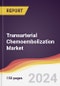 Transarterial Chemoembolization Market Report: Trends, Forecast and Competitive Analysis to 2030 - Product Image