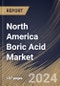 North America Boric Acid Market Size, Share & Trends Analysis Report By Grade (Industrial, Pharmaceutical, and Others), By End-use (Construction, Agriculture, Automotive, Electronics, Pharmaceutical & Healthcare, and Others), By Country and Growth Forecast, 2023 - 2030 - Product Image