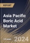 Asia Pacific Boric Acid Market Size, Share & Trends Analysis Report By Grade (Industrial, Pharmaceutical, and Others), By End-use (Construction, Agriculture, Automotive, Electronics, Pharmaceutical & Healthcare, and Others), By Country and Growth Forecast, 2023 - 2030 - Product Image