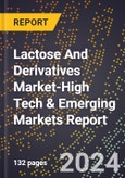2024 Global Forecast for Lactose And Derivatives Market (2025-2030 Outlook)-High Tech & Emerging Markets Report- Product Image