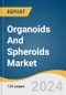 Organoids And Spheroids Market Size, Share & Trends Analysis Report By Type (Neurospheres, iPSCs Derived Cells, Hepatic Organoids), By Application, By End-use, By Region, And Segment Forecasts, 2024 - 2030 - Product Image