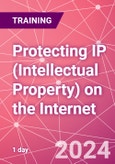 Protecting IP (Intellectual Property) on the Internet Training Course (ONLINE EVENT: October 30, 2024)- Product Image