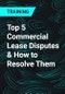 Top 5 Commercial Lease Disputes & How to Resolve Them - Product Thumbnail Image