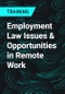 Employment Law Issues & Opportunities in Remote Work - Product Thumbnail Image