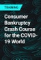 Consumer Bankruptcy Crash Course for the COVID-19 World - Product Thumbnail Image