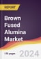 Brown Fused Alumina Market Report: Trends, Forecast and Competitive Analysis to 2030 - Product Image