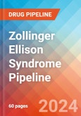 Zollinger Ellison Syndrome - Pipeline Insight, 2024- Product Image