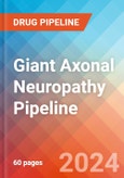 Giant Axonal Neuropathy - Pipeline Insight, 2024- Product Image