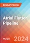 Atrial Flutter - Pipeline Insight, 2024 - Product Thumbnail Image