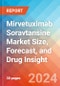 Mirvetuximab Soravtansine Market Size, Forecast, and Drug Insight - 2032 - Product Thumbnail Image