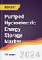 Pumped Hydroelectric Energy Storage (PHES) Market Report: Trends, Forecast and Competitive Analysis to 2030 - Product Image