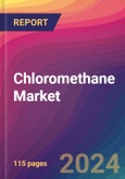 Chloromethane Market Size, Market Share, Application Analysis, Regional Outlook, Growth Trends, Key Players, Competitive Strategies and Forecasts, 2024 To 2032- Product Image