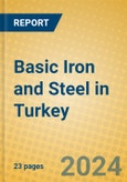 Basic Iron and Steel in Turkey- Product Image