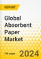 Global Absorbent Paper Market: Focus on Application, End-Use Industry, Product Type, and Region - Analysis and Forecast, 2024-2034 - Product Thumbnail Image