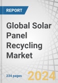 Global Solar Panel Recycling Market by Type (Monocrystalline, Polycrystalline, Thin Film), Process (Thermal, Chemical, Mechanical, Laser, Combination), Shelf Life (Early Loss, Normal Loss), Material (Metal, Glass, Plastic, Silicone) - Forecast to 2029- Product Image