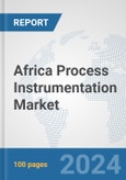 Africa Process Instrumentation Market: Prospects, Trends Analysis, Market Size and Forecasts up to 2031- Product Image