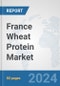 France Wheat Protein Market: Prospects, Trends Analysis, Market Size and Forecasts up to 2032 - Product Thumbnail Image