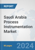 Saudi Arabia Process Instrumentation Market: Prospects, Trends Analysis, Market Size and Forecasts up to 2032- Product Image