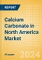 Calcium Carbonate in North America Market Size, Competitive Analysis and Forecast to 2028 - Product Thumbnail Image