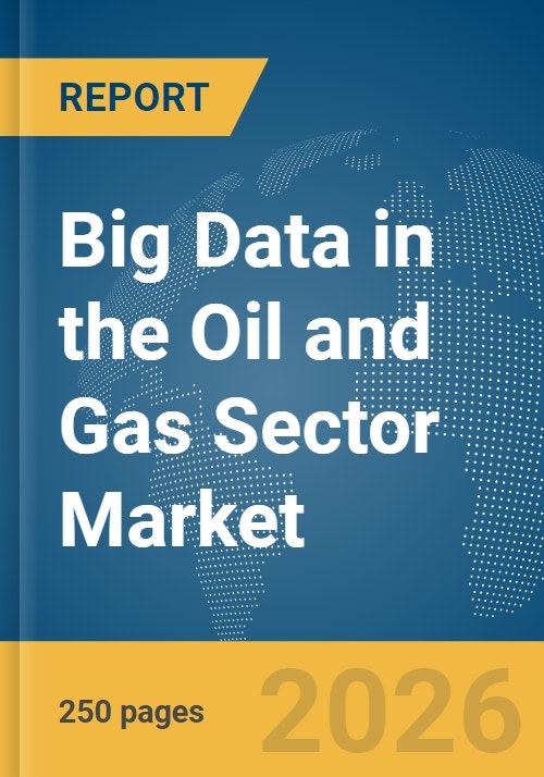 Big Data in the Oil and Gas Sector Market Report 2026