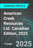 American Creek Resources Ltd. (AMK:TSX) Canadian Edition, 2025: Analytics, Extensive Financial Metrics, and Benchmarks Against Averages and Top Companies Within its Industry- Product Image