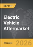 Electric Vehicle Aftermarket- Product Image