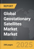 Geostationary Satellites Market - Global Strategic Business Report- Product Image