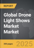 Drone Light Shows Market - Global Strategic Business Report- Product Image