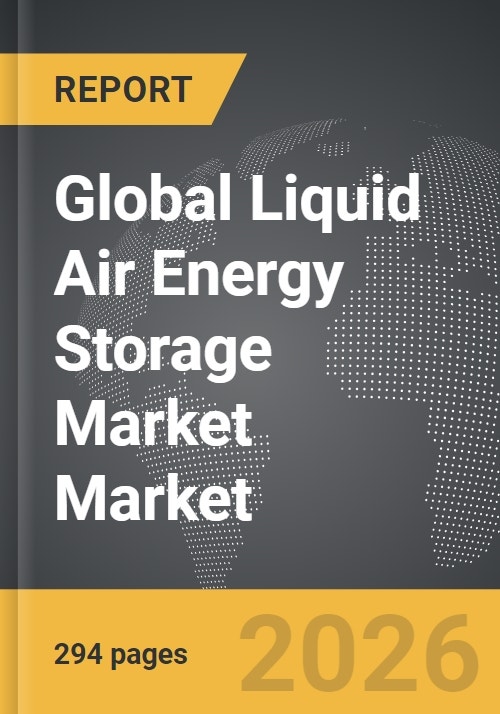 Liquid Air Energy Storage Market Market Size & Competitors
