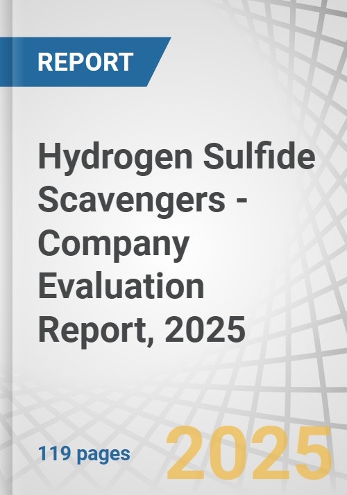 Hydrogen Sulfide Scavengers - Company Evaluation Report, 2025