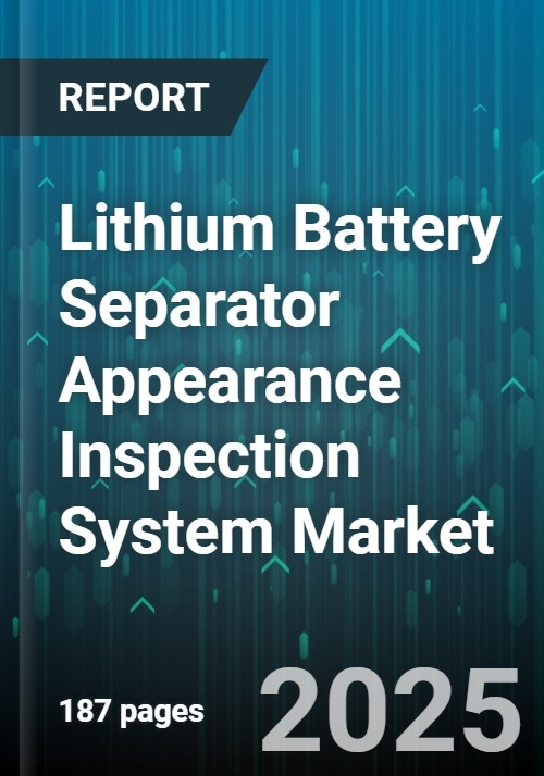 Lithium Battery Separator Appearance Inspection System Market - Global ...