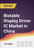 Bistable Display Driver IC Market in China- Product Image