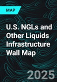 U.S. NGLs and Other Liquids Infrastructure Wall Map- Product Image