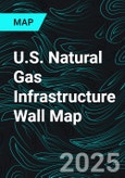 U.S. Natural Gas Infrastructure Wall Map- Product Image