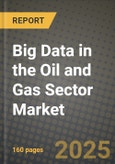 Big Data in the Oil and Gas Sector Market Outlook 2025-2034: Market Share, and Growth Analysis- Product Image