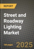 Street and Roadway Lighting Market Outlook 2025-2034: Market Share, and Growth Analysis- Product Image